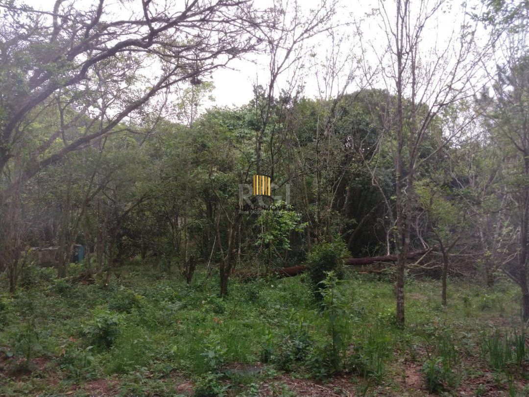 Área para Venda - 11,39ha, bairro Belém Velho