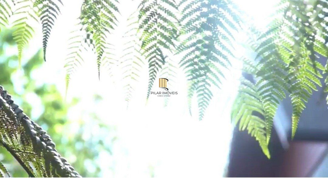 Apartamento 3 dormitórios no bairro Planalto