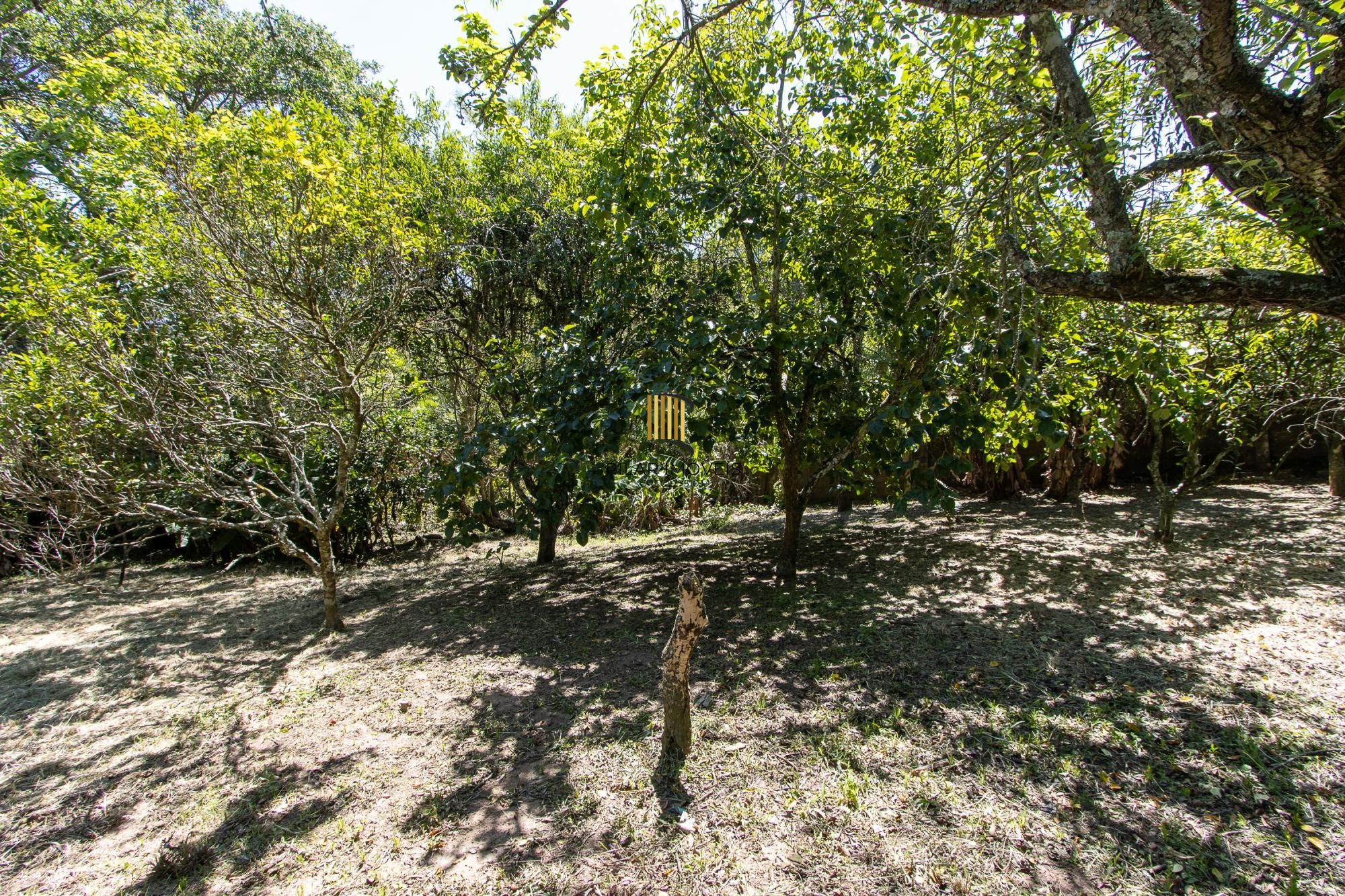 Casa 3 dormitórios no bairro Pitinga