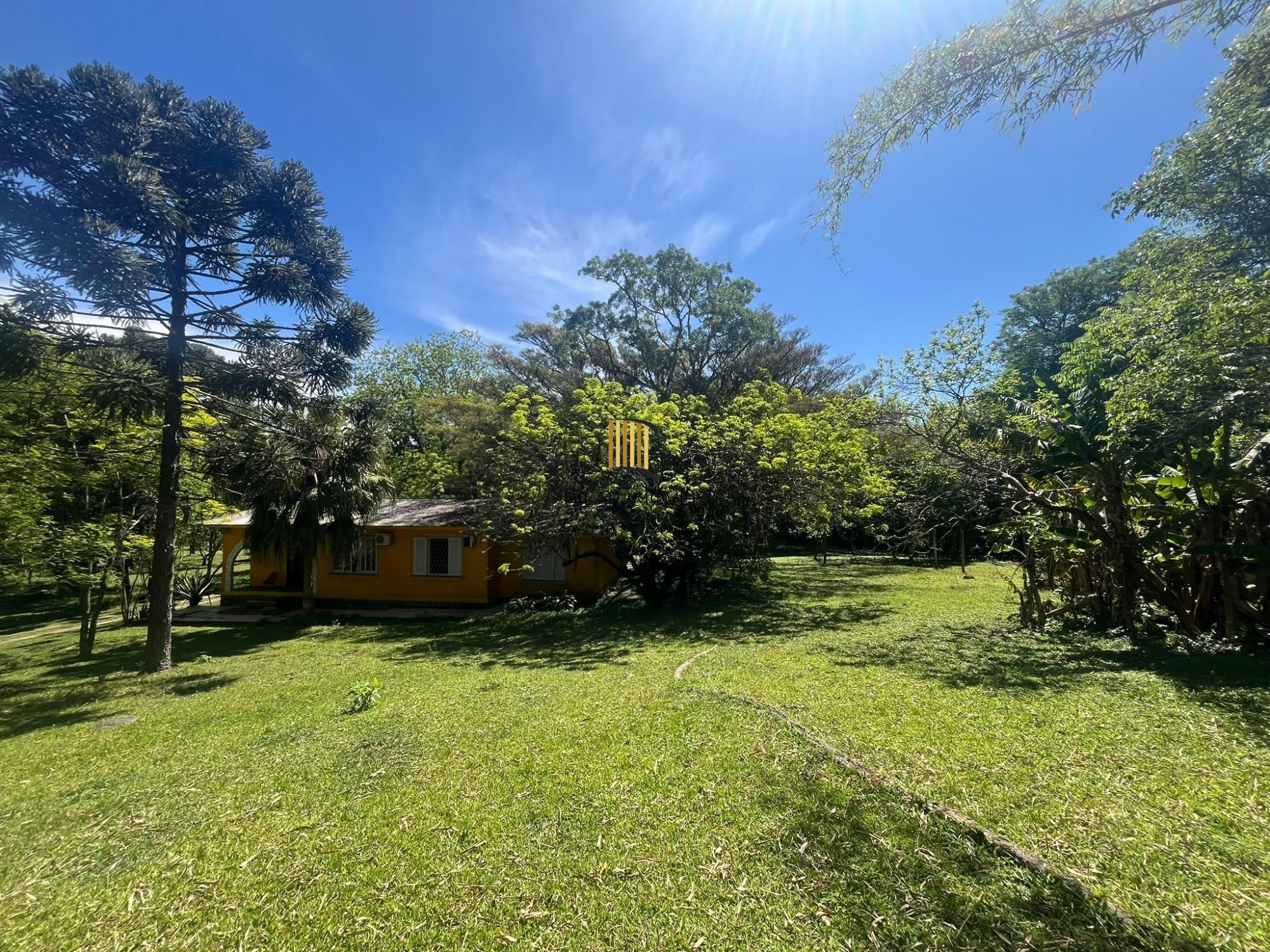 Seu refúgio na zona sul! Chácara incrível em Belém Velho – 1,5 hectare com casa encantadora e açude!