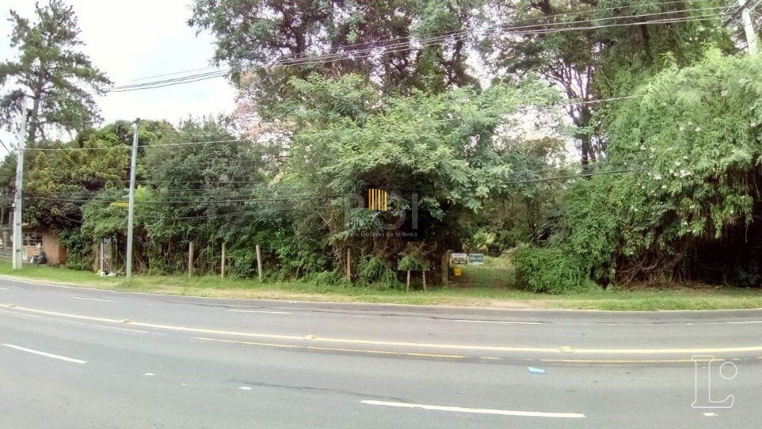 Terreno para Venda - 0m², 0 dormitórios, Pedra Redonda - Pilar Imóveis