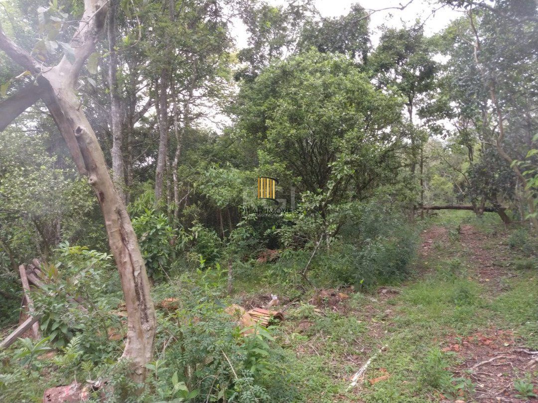 Área para Venda - 11,39ha, bairro Belém Velho