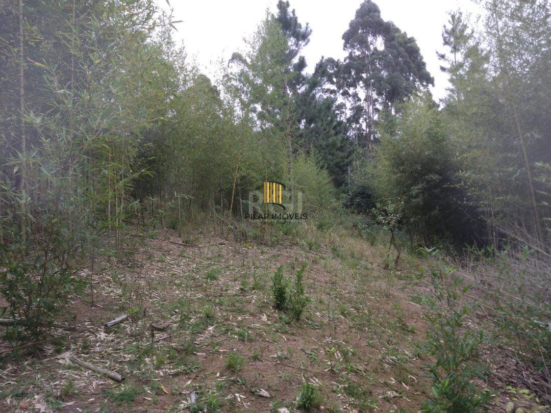 Área para Venda - 11,39ha, bairro Belém Velho