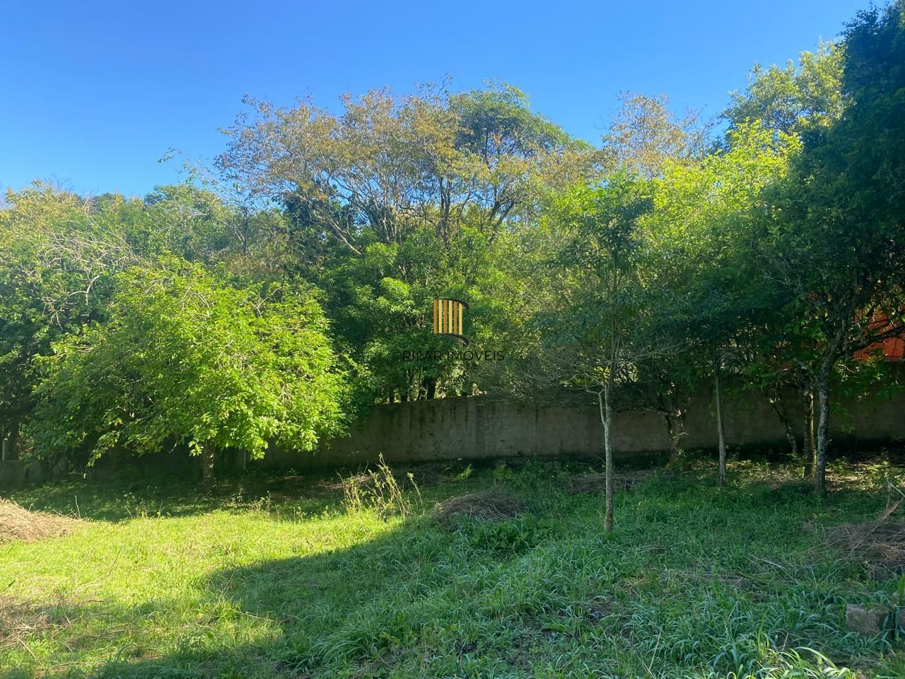 Excelente terreno!