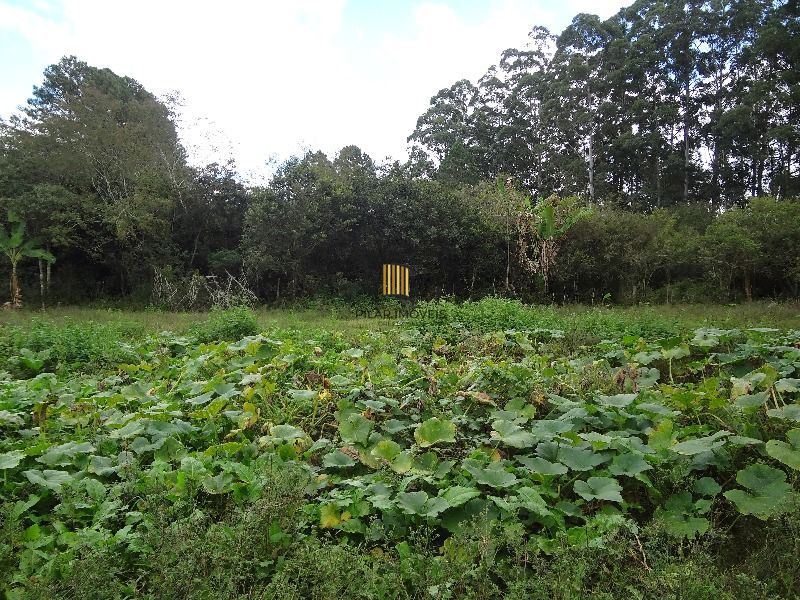 Terreno para Venda - 145.000m²,  Lami