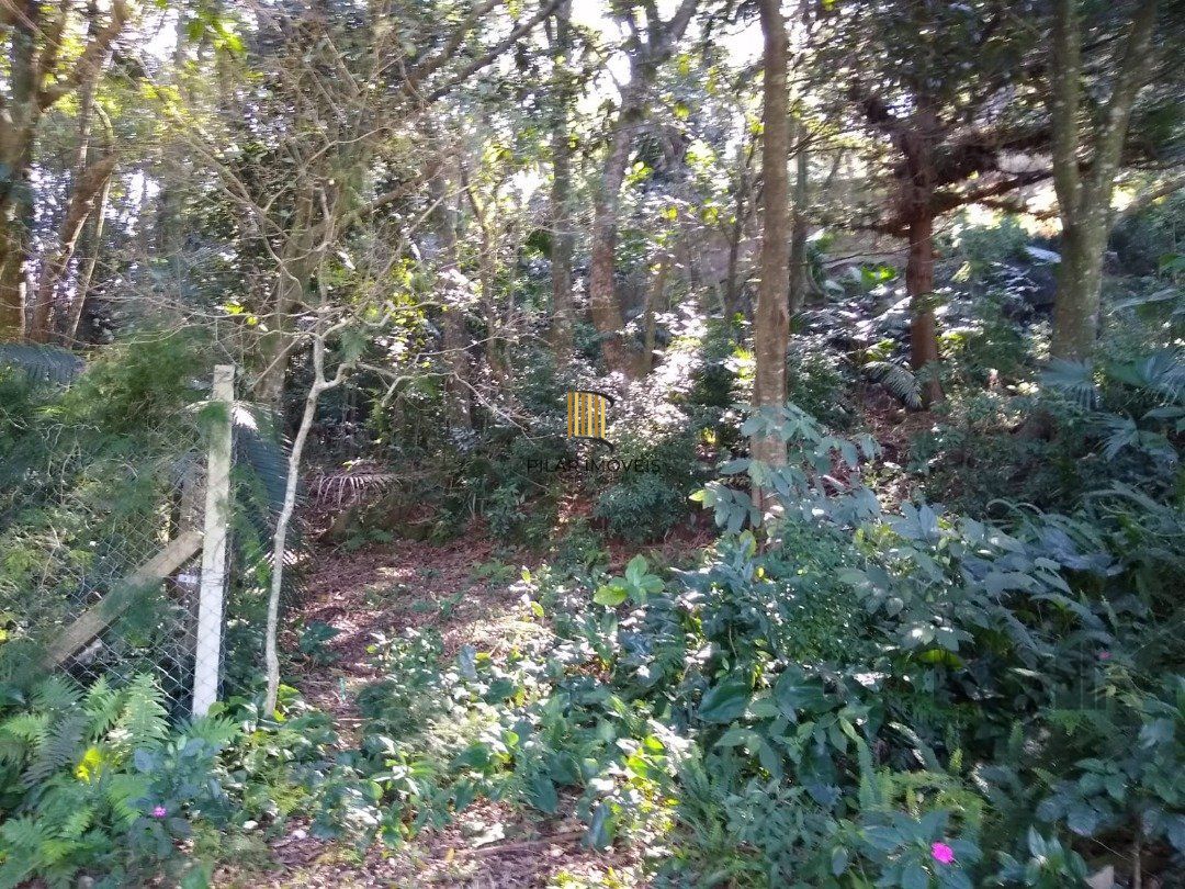 Terreno no bairro Cascata
