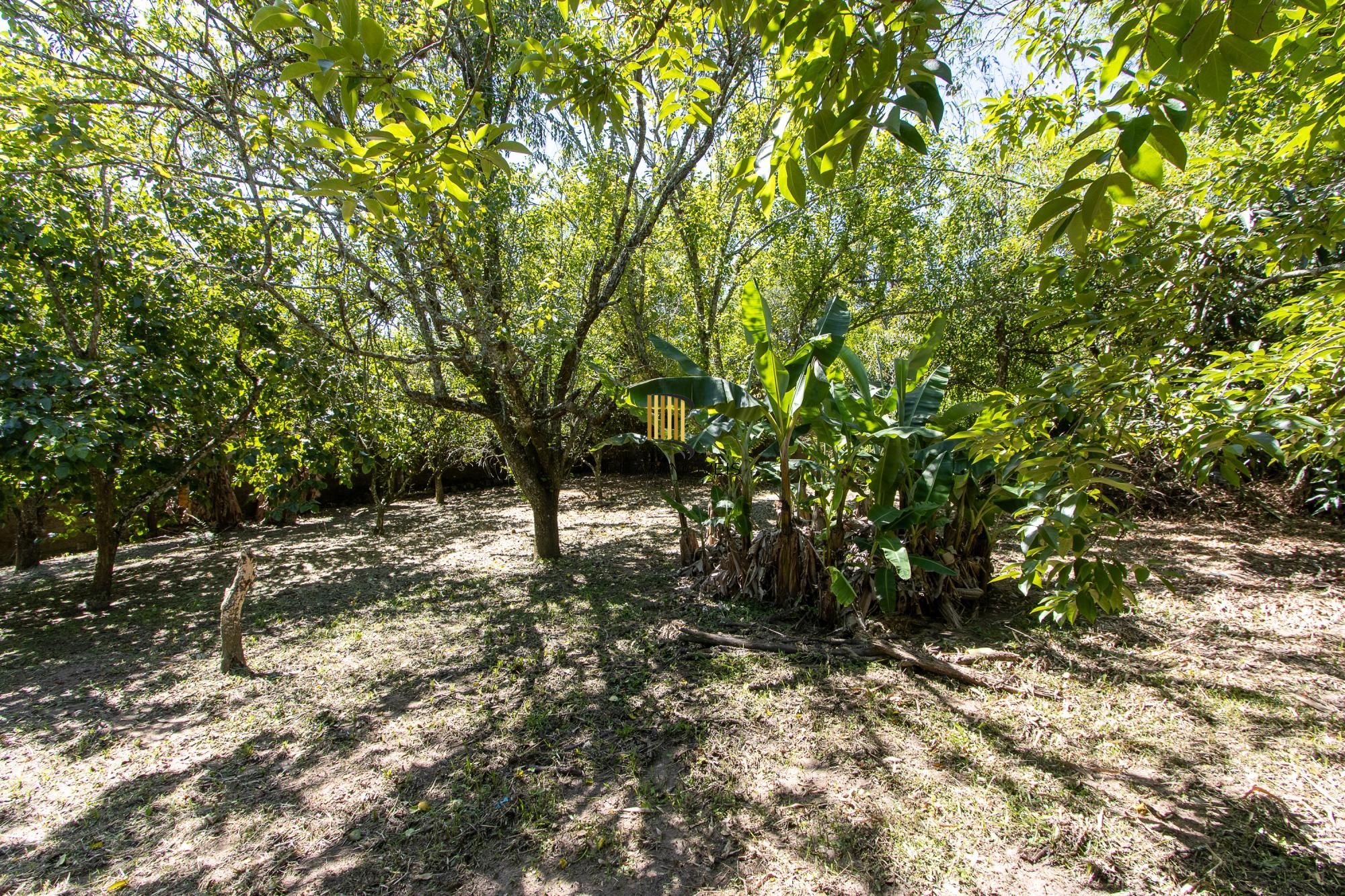 Casa 3 dormitórios no bairro Pitinga