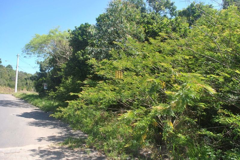 Terreno para Venda  com 930m² no bairro Espírito Santo