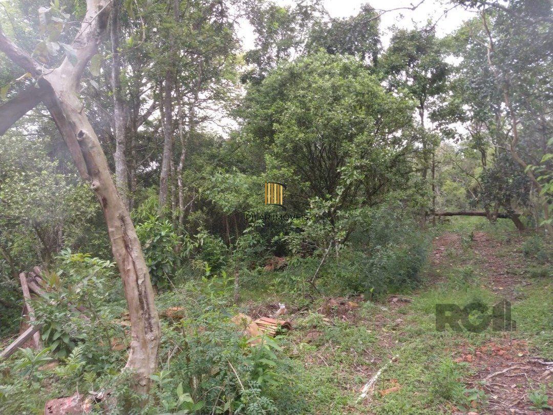 Área 4,69ha | Bairro Belém Velho