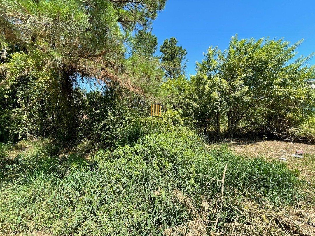 Terreno para venda com 3000m² no bairro Ponta grossa