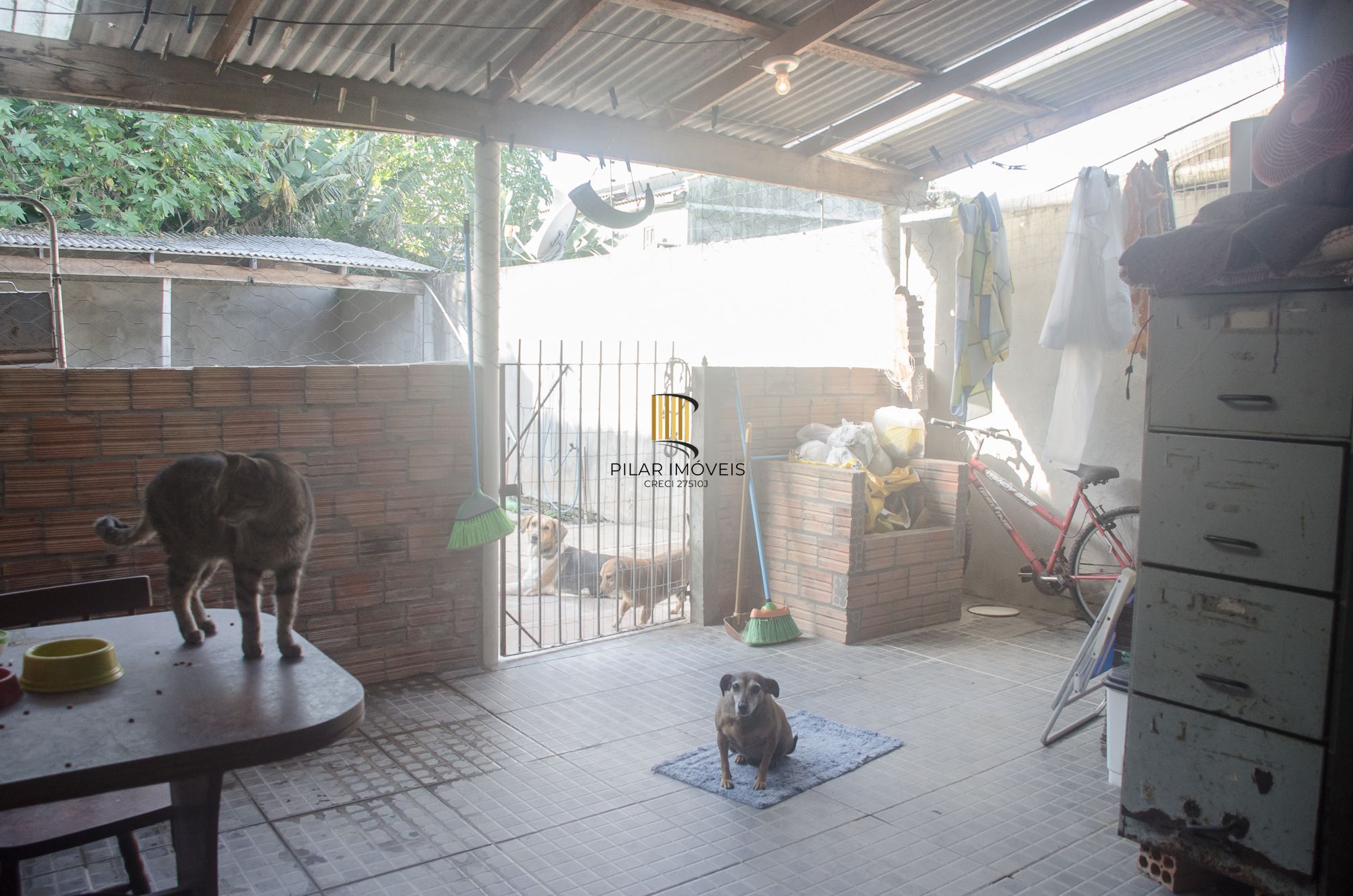 Oportunidade- Terreno com 300m² com duas casas!!!