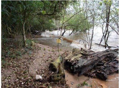 Area Bairro Ponta Grossa