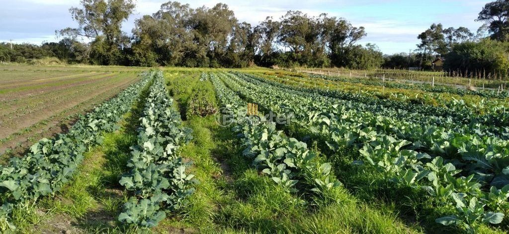 Área com 4,722 hectares, Av. do Lami - Belem Novo