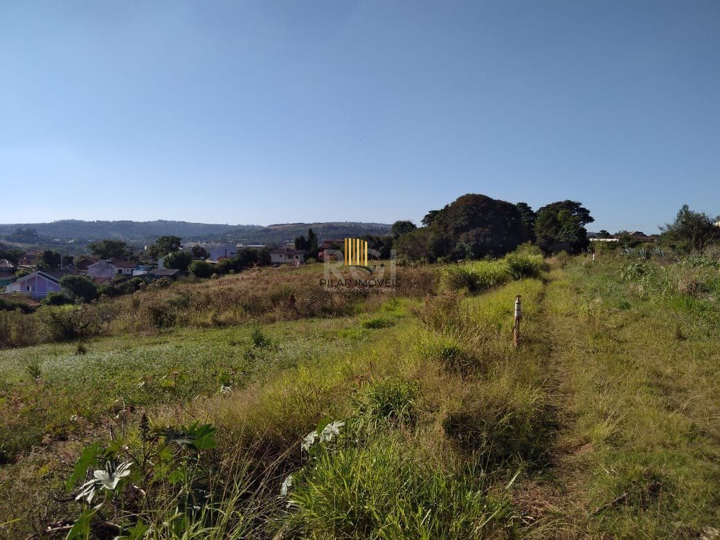 Area para Venda - 36.900m² - Campo Novo