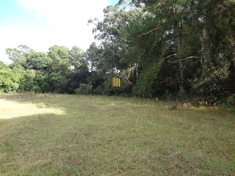 Terreno para Venda - 145.000m²,  Lami
