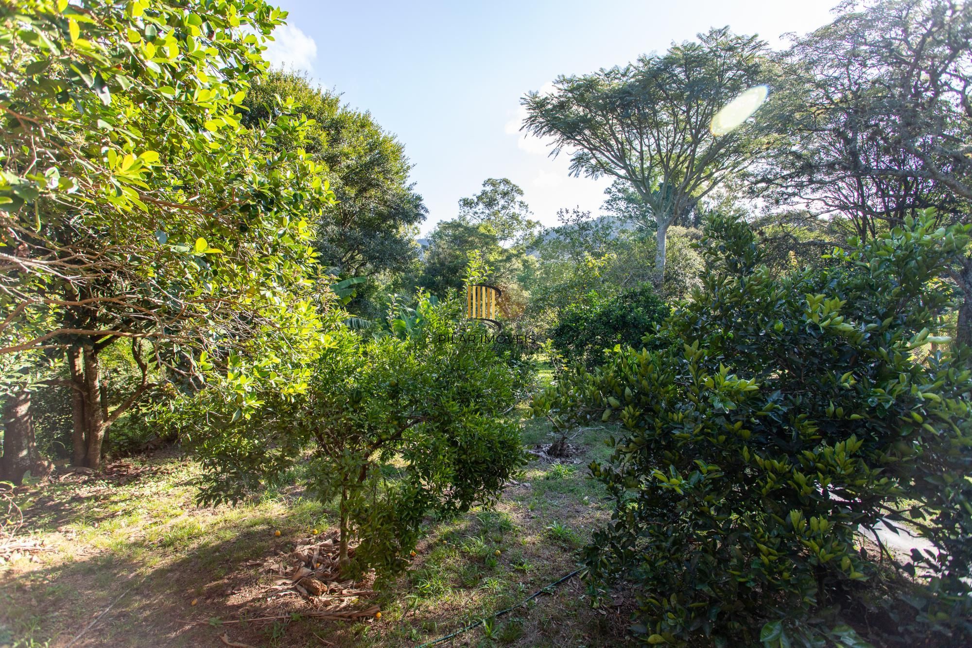 Sítio 1 dormitório no bairro Belém Velho
