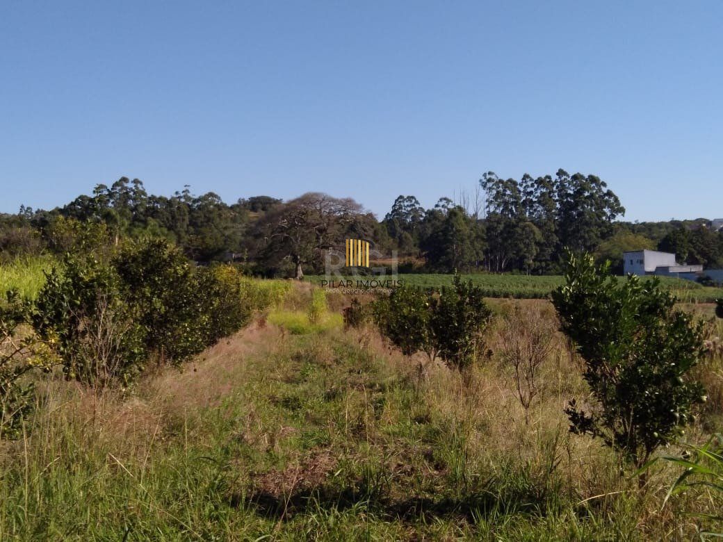Area para Venda - 36.900m² - Campo Novo