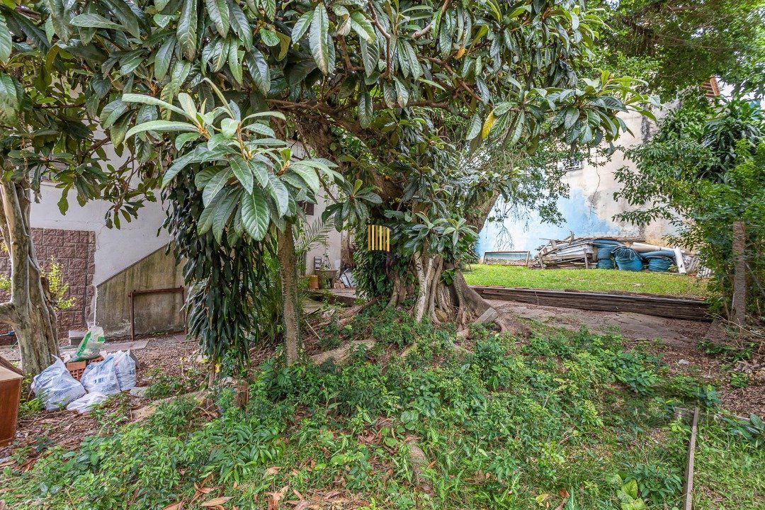 Casa  4 dormitórios, sendo 1 suíte no bairro Menino Deus em Porto Alegre