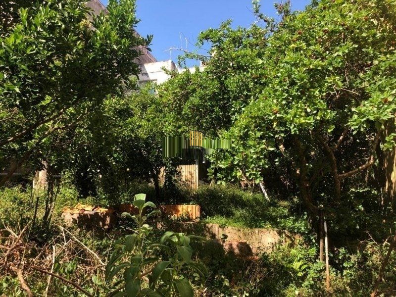 Terreno amplo com 8,80m²x63,50m² de área total, excelente localização no Bairro Petrópolis