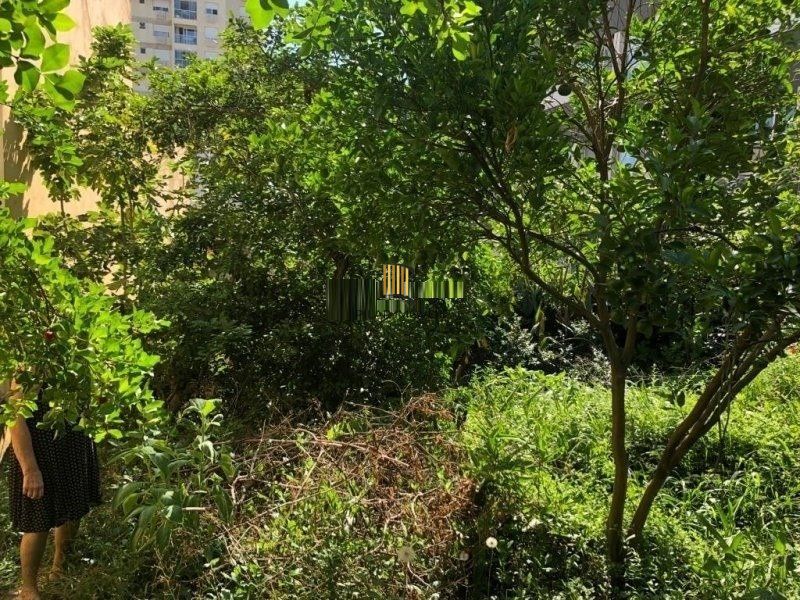 Terreno amplo com 8,80m²x63,50m² de área total, excelente localização no Bairro Petrópolis