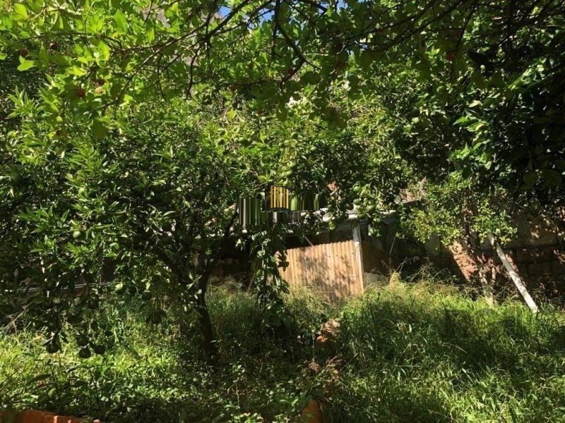 Terreno amplo com 8,80m²x63,50m² de área total, excelente localização no Bairro Petrópolis