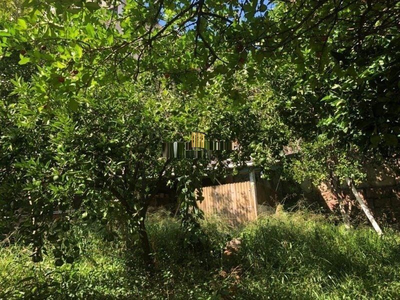Terreno amplo com 8,80m²x63,50m² de área total, excelente localização no Bairro Petrópolis