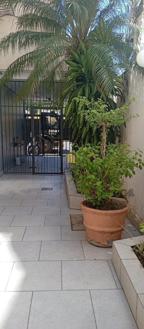 Apartamento 2 dormitórios , terreno elevado, lateral, bairro cidade baixa- Porto