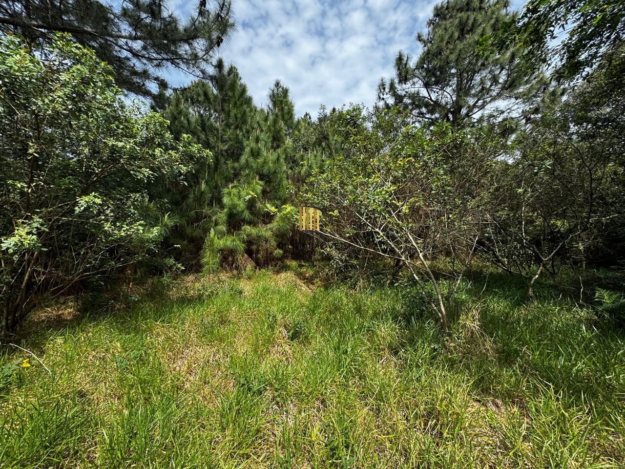 🏡 Terreno de 1 Hectare à Venda em Osório – Estrada do Mar de frente, RS com laudo Ambiental.