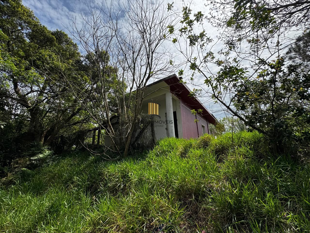 🏡 Terreno de 1 Hectare à Venda em Osório – Estrada do Mar de frente, RS com laudo Ambiental.