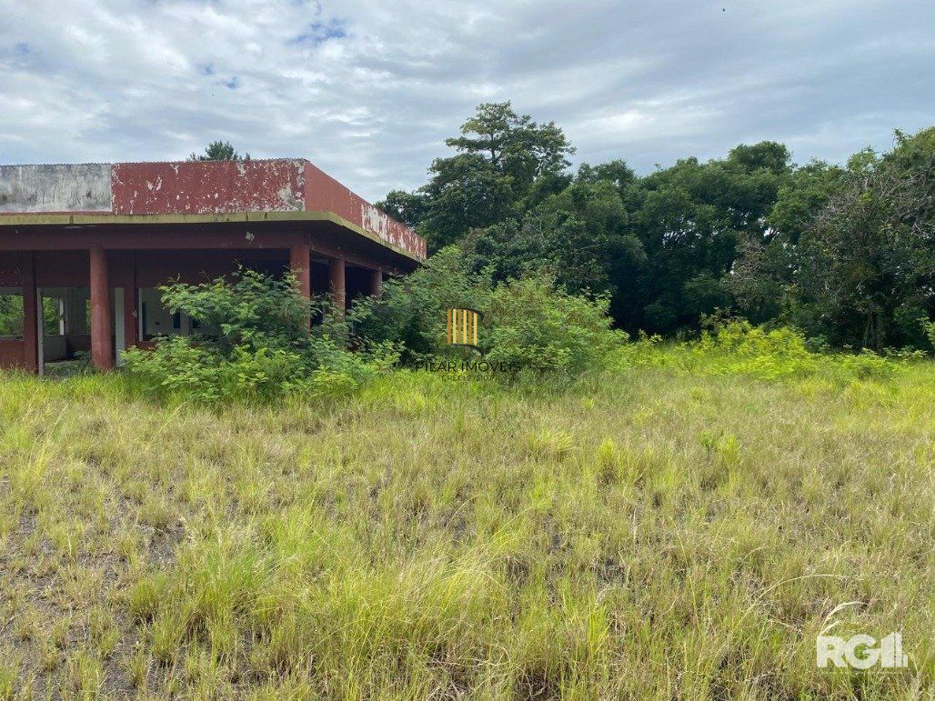 🏡 Terreno de 1 Hectare à Venda em Osório – Estrada do Mar de frente, RS com laudo Ambiental.