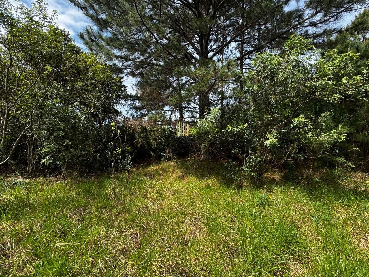 🏡 Terreno de 1 Hectare à Venda em Osório – Estrada do Mar de frente, RS com laudo Ambiental.