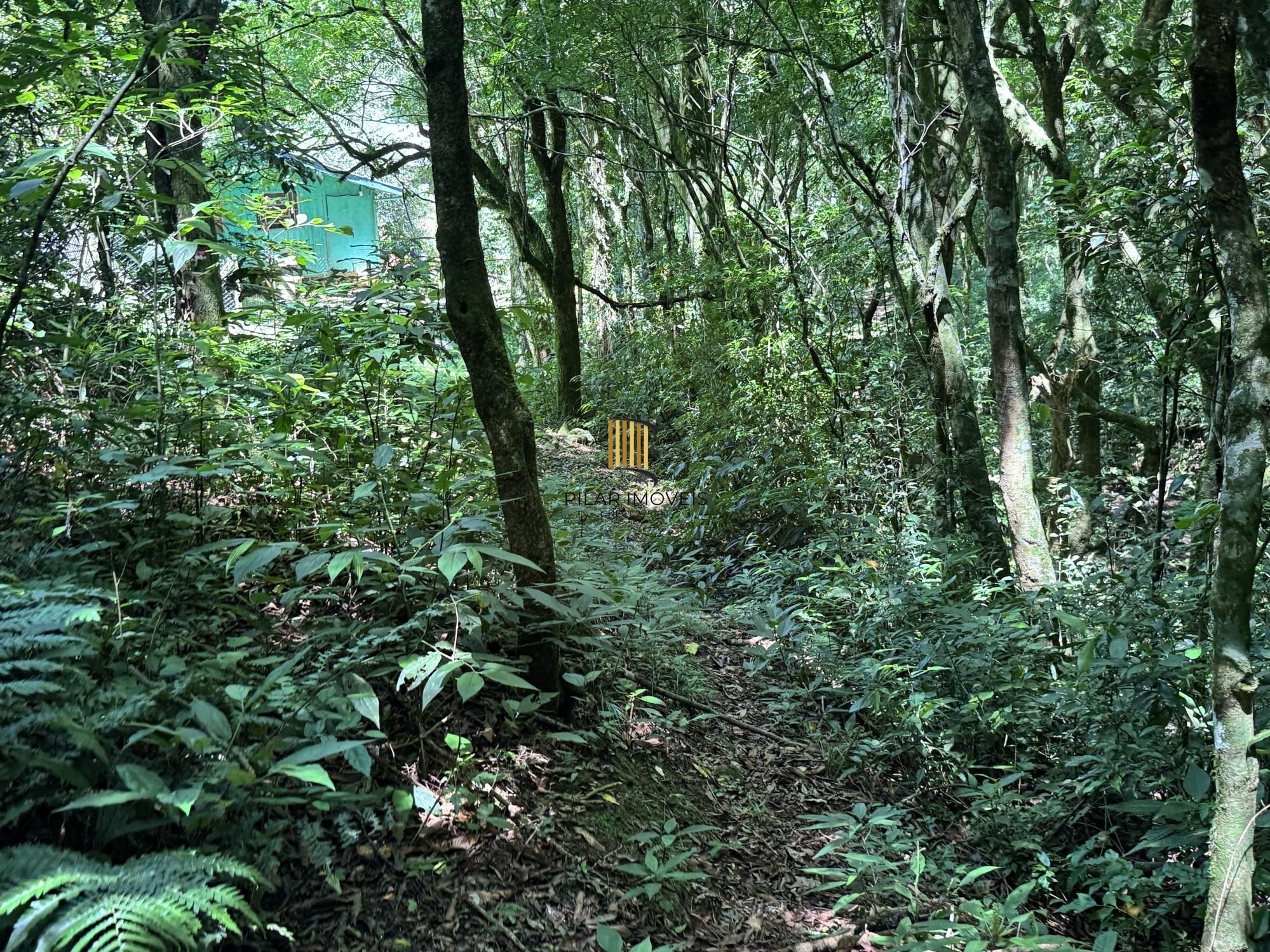 Sitio