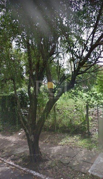 Terreno para Venda - 300m², Boa Vista - Pilar Imóveis