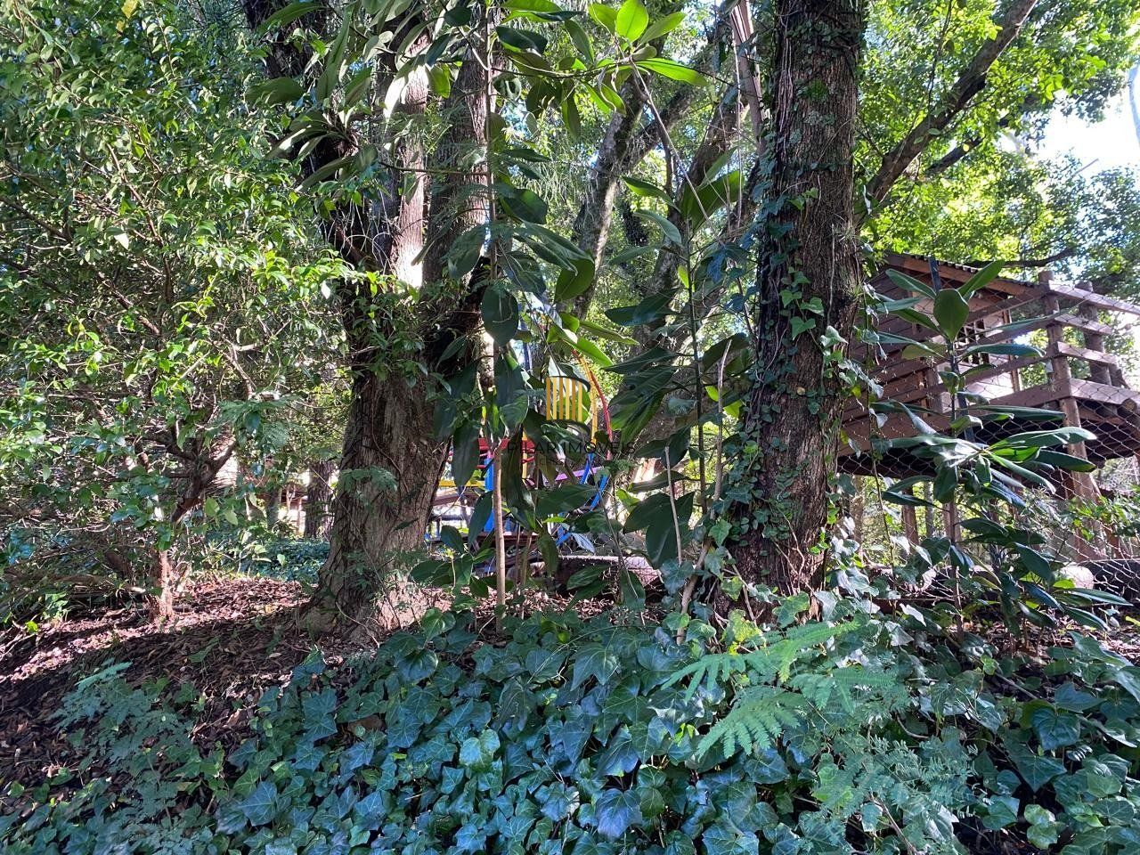 Apartamento de 3 dormitóios no bairro Teresopolis