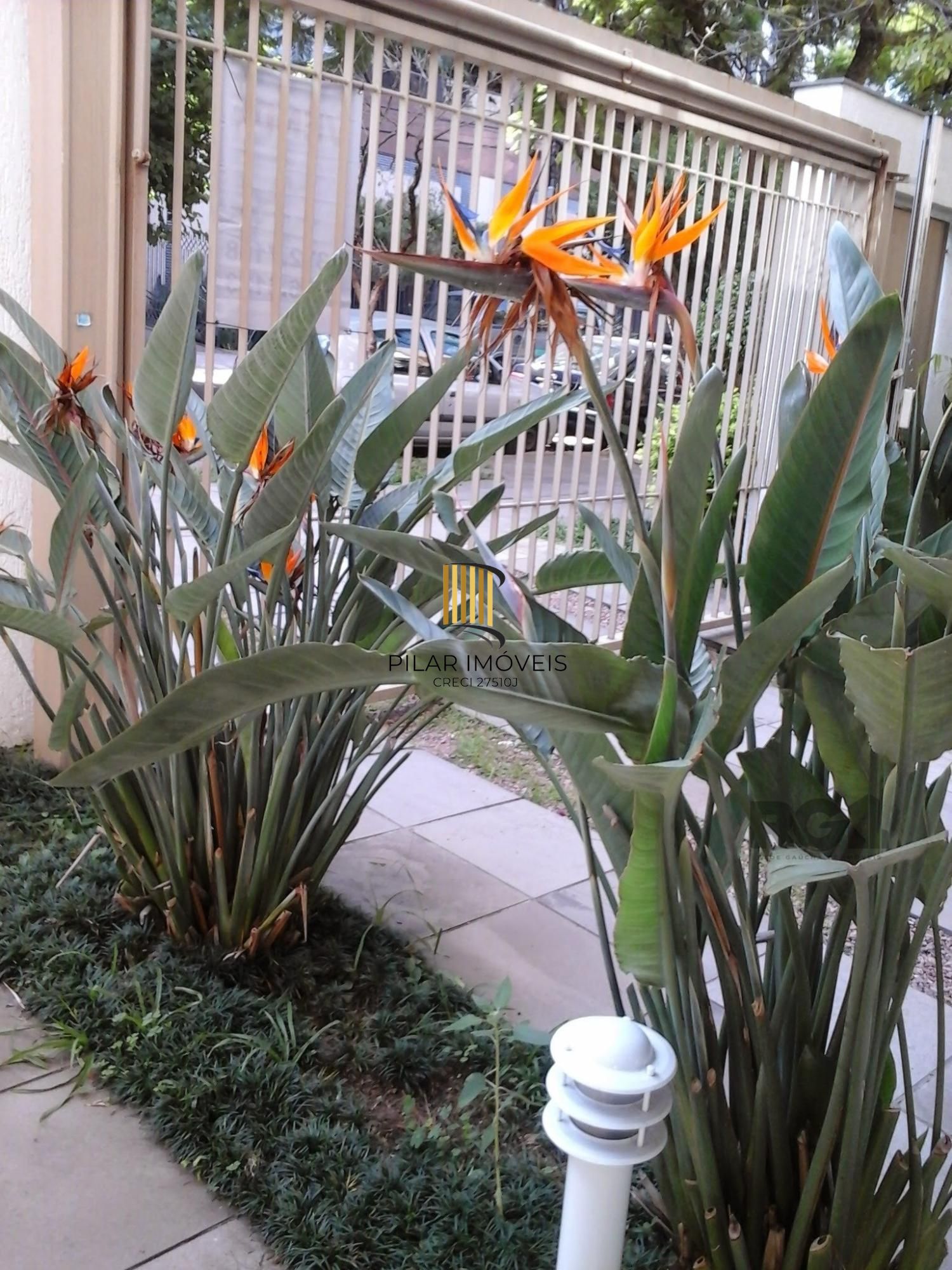 Apartamento 2 dormitórios no bairro Bela Vista