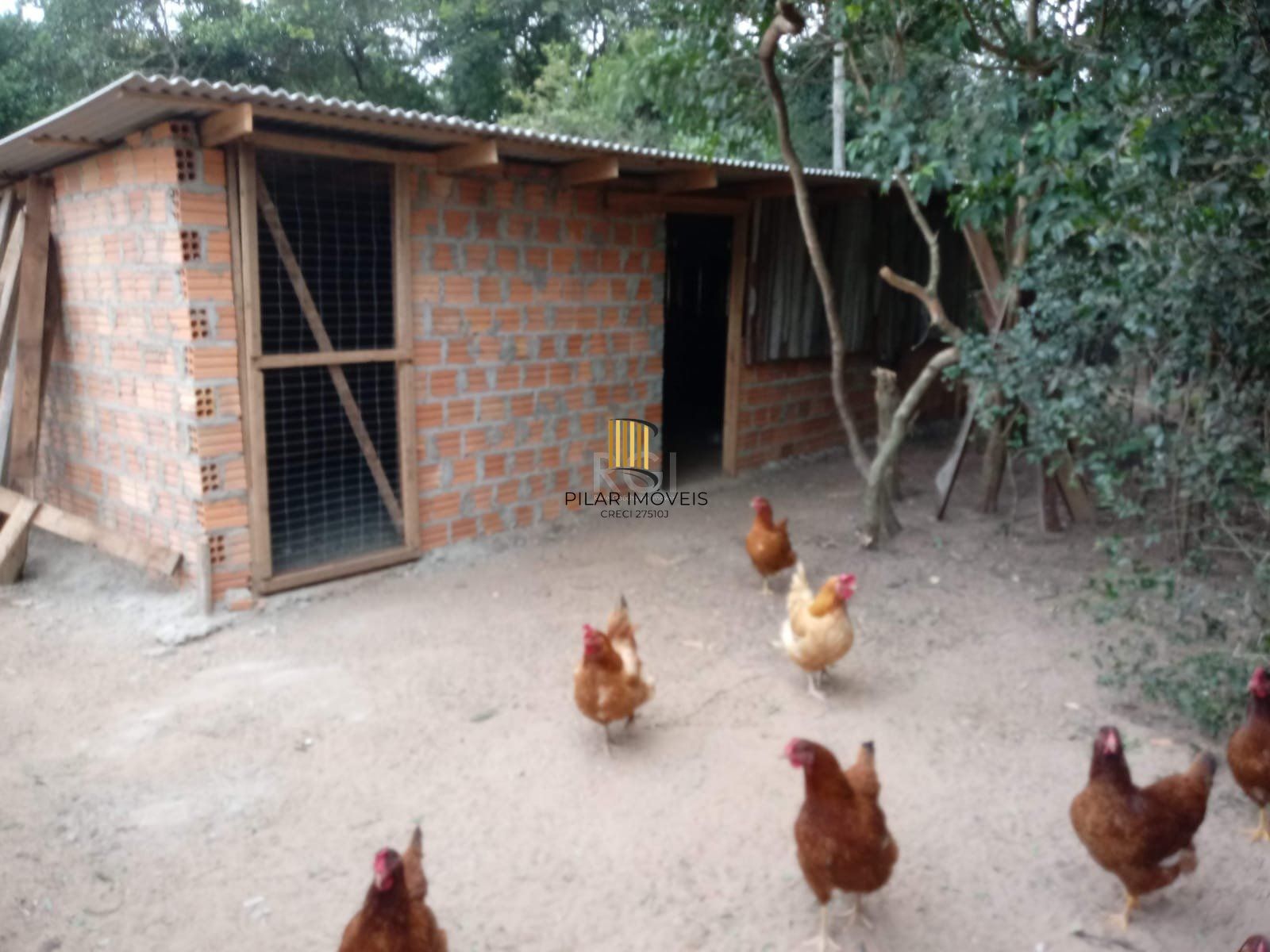 Sítio para Venda - 1800m², 2 dormitórios, Horto Das Oliveiras