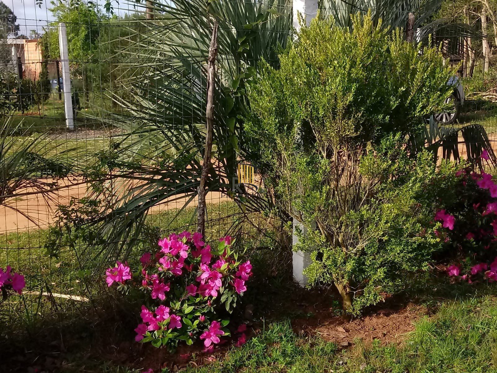Sítio para Venda - 1800m², 2 dormitórios, Horto Das Oliveiras