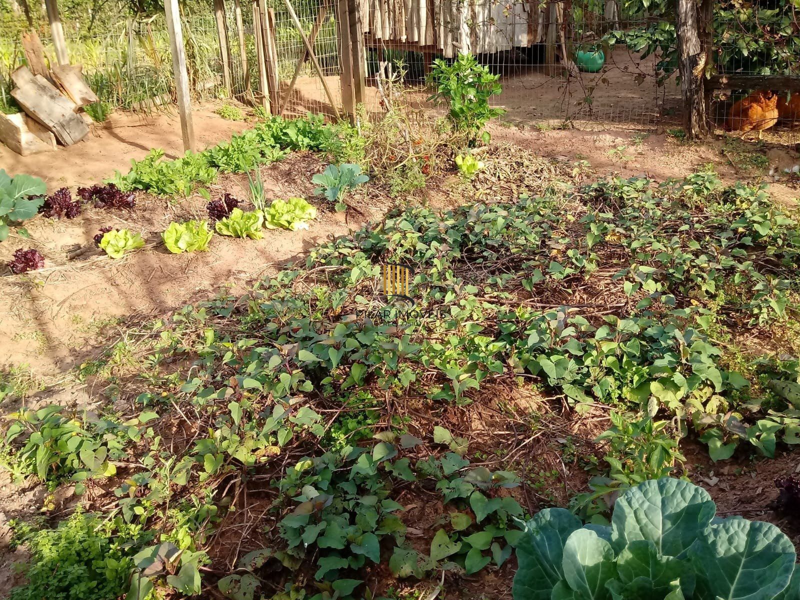 Sítio para Venda - 1800m², 2 dormitórios, Horto Das Oliveiras