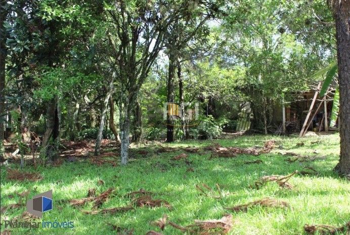 Sítio 3 dormitórios no bairro Branquinha