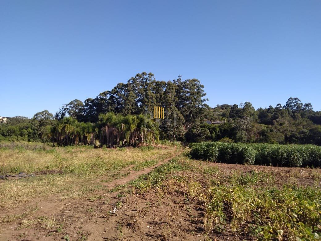 Area para Venda - 36.900m² - Campo Novo