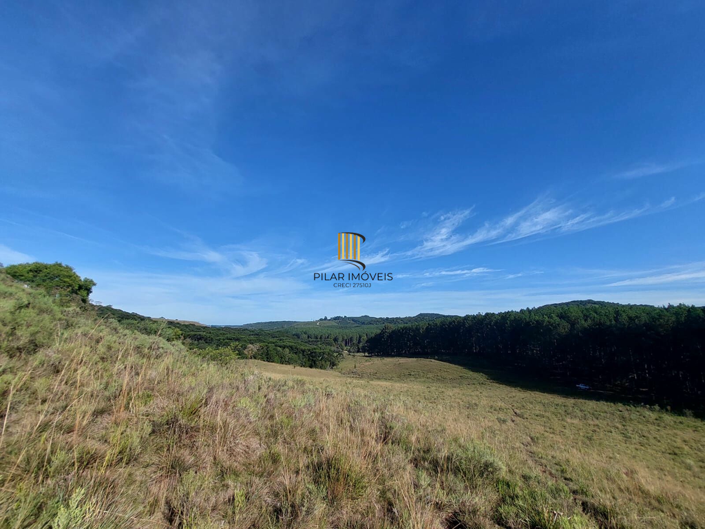 Fazenda no bairro Fazenda Souza