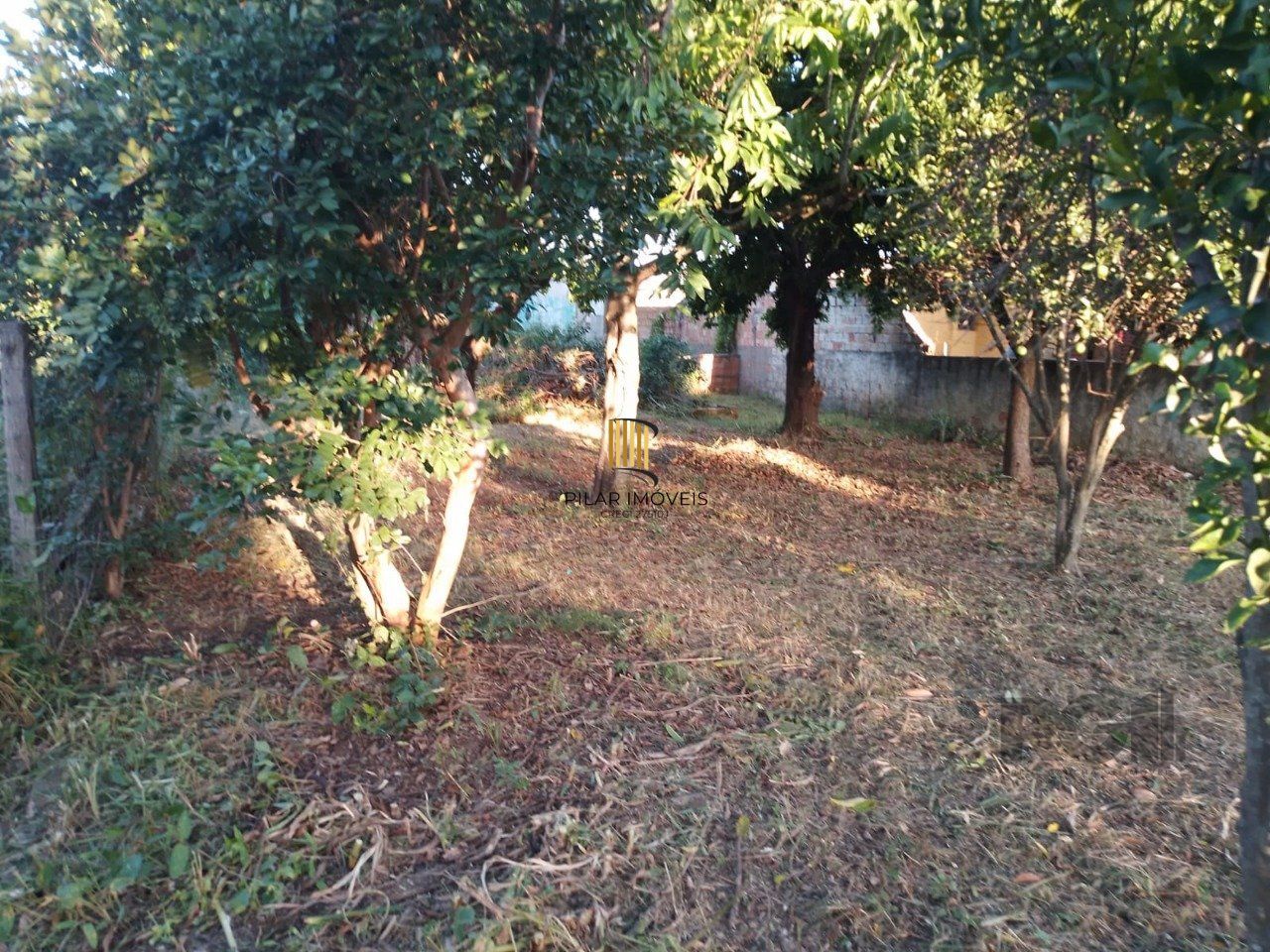 Terreno 440m² Bairro Jardim Betânia