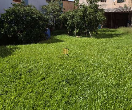 TERRENO PLANO PRÓXIMO IGREJA SÃO JORGE