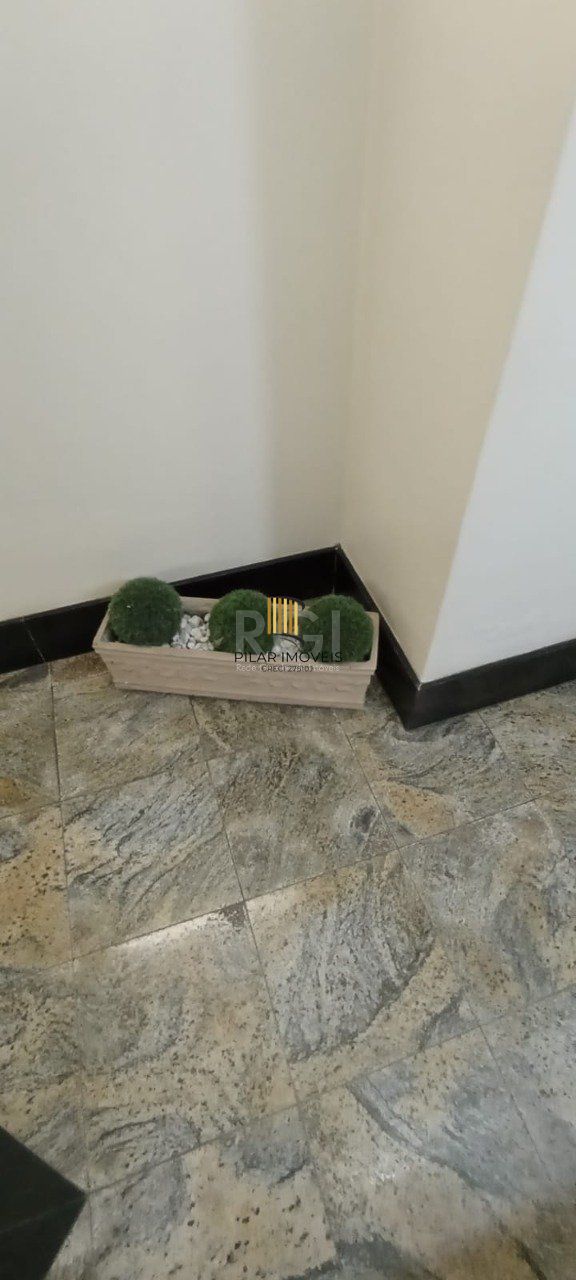 Conjunto/Sala para Venda - 38m², 0 dormitórios, Floresta