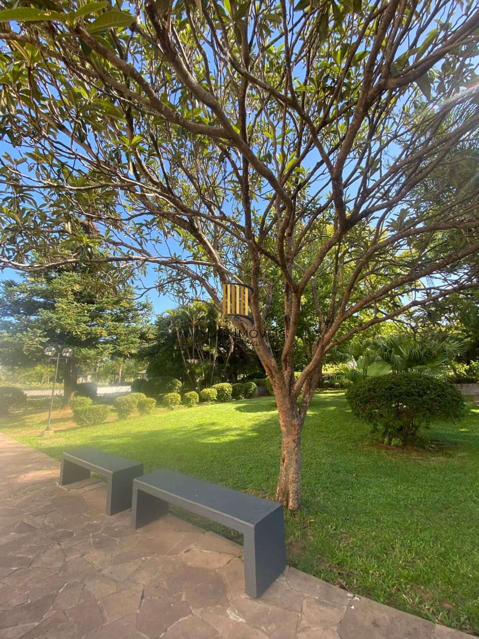 Maravilhoso apartamento.