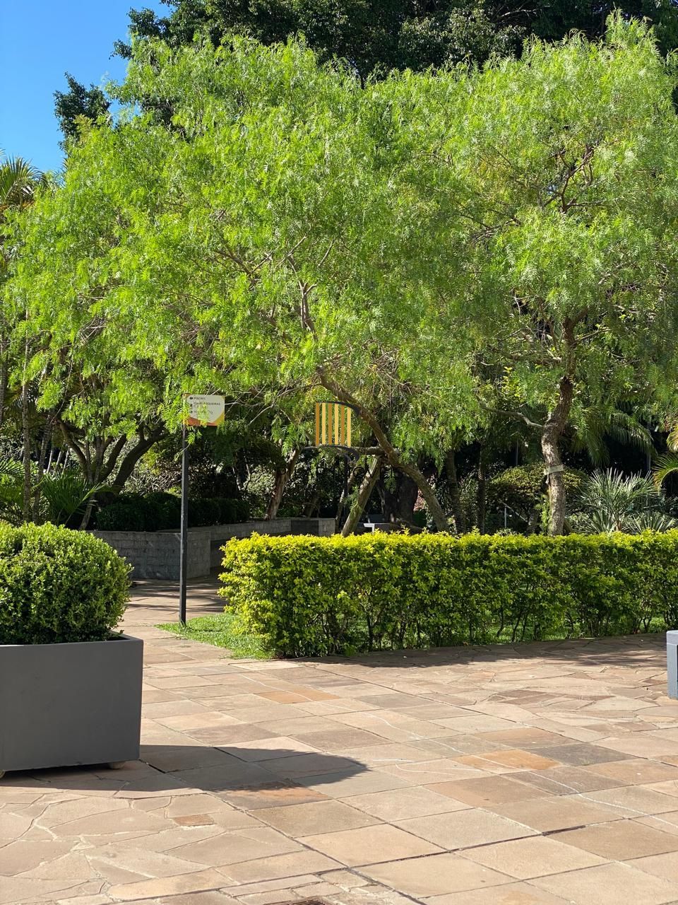 Maravilhoso apartamento.