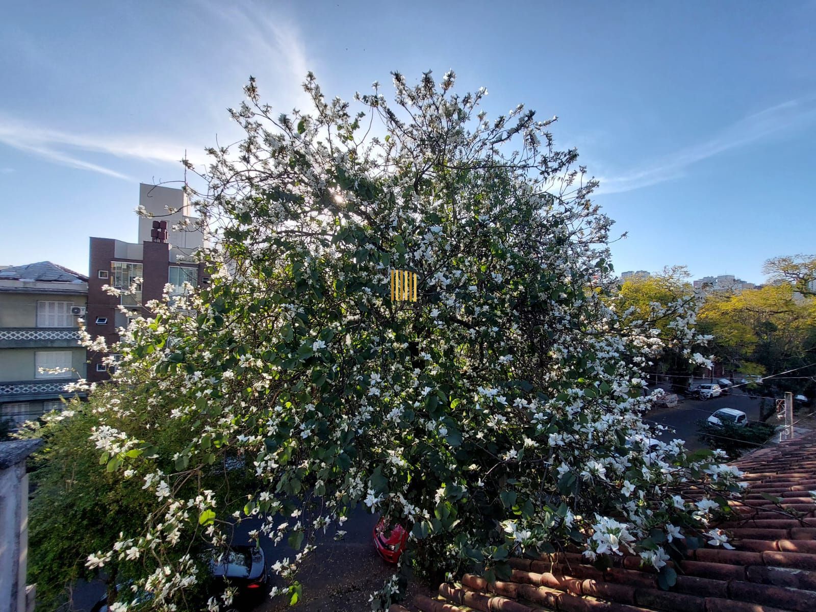 Casa com 5 dormitórios no bairro Rio Branco.