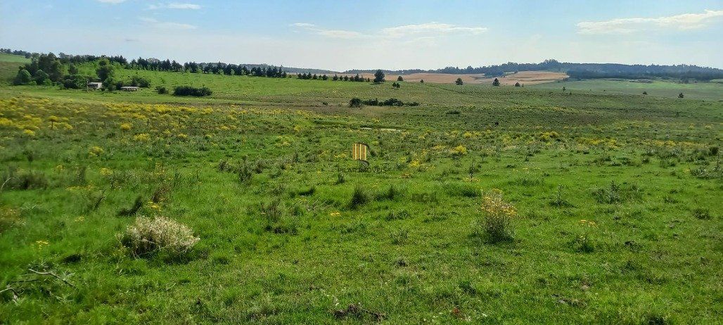 Área Rural de 60.000,00 m² por R$ 260.000,00 na Localidade do Cerro do Chapéu- Santana do Livramento-RS