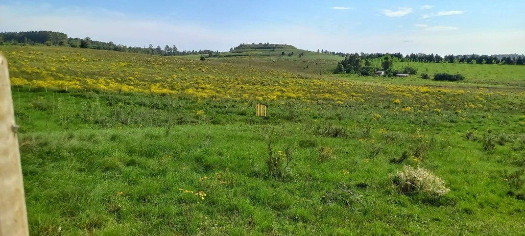 Área Rural de 60.000,00 m² por R$ 260.000,00 na Localidade do Cerro do Chapéu- Santana do Livramento-RS