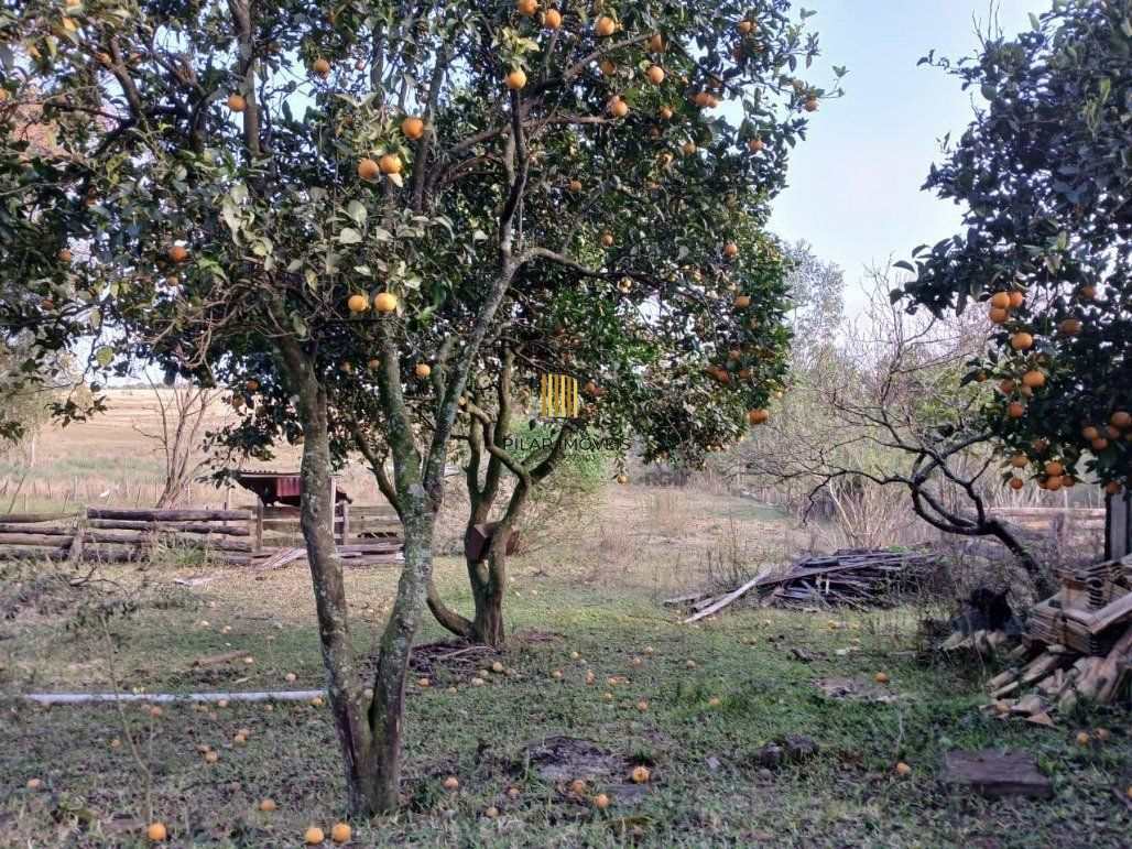 Chácara com 5 dormitórios (1 sendo suíte) de 1,6 hectare por R$ 1.300.000,00 na Rua Robledo Braz nº 5954- Santana do Livramento-RS